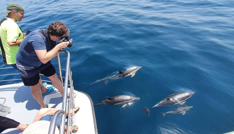 From Lagos: Dolphin Watching Catamaran Cruise - Benagil Sea Cave: dome, skylight, and why the front platform helps