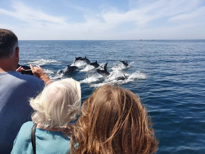 From Lagos: Dolphin Watching Catamaran Cruise - Price and value at $47: what you are paying for