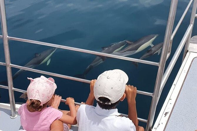 From Lagos: Dolphin Watching Cruise on a Catamaran - Entering The Water From Marina de Lagos, The Calm Before the Atlantic