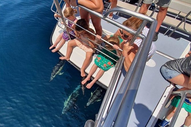 From Lagos: Dolphin Watching Cruise on a Catamaran - Price and Value: Why This One Costs About What You’d Expect
