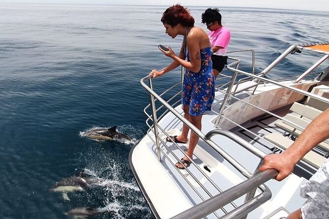 From Lagos: Dolphin Watching Cruise on a Catamaran - Best Time to Go and How Departure Options Fit Your Lagos Day