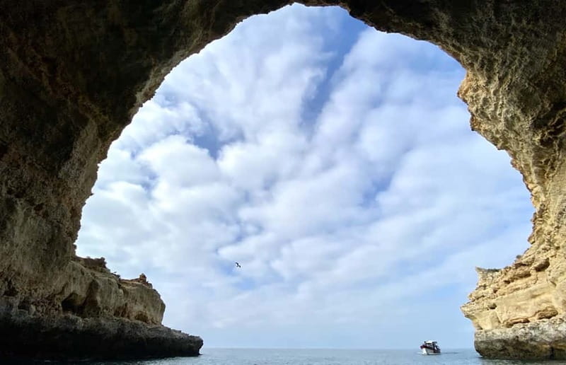 From Lagos: Scenic Cruise to the Benagil and Carvoeiro Caves - What You Can Do on the Tour, and What You Cannot