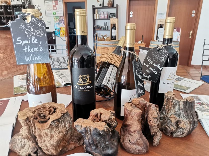 From Lagos: Small-Group 4-Hour Wine Tasting Tour - Who this tour suits best, and who might want a different plan