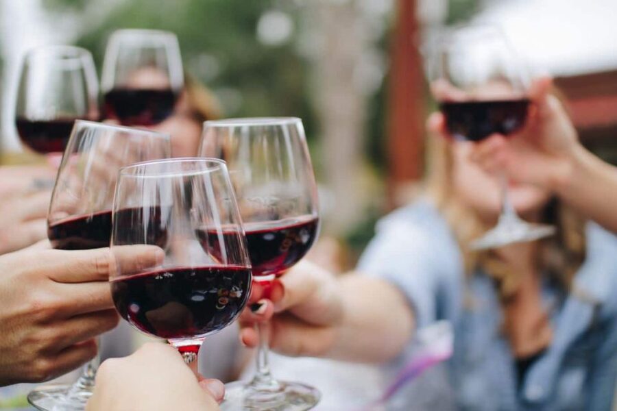 From Lagos: Small-Group 4-Hour Wine Tasting Tour - Silves plus wine in 4 hours is a rare kind of convenience