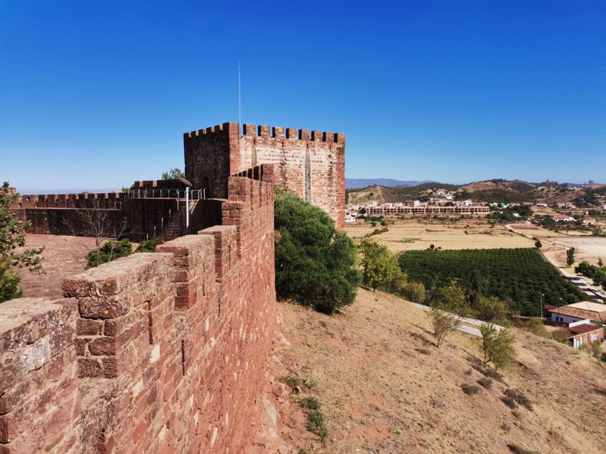 From Lagos: Small-Group 4-Hour Wine Tasting Tour - Price and value: is $76 for a wine-and-tapas afternoon worth it?