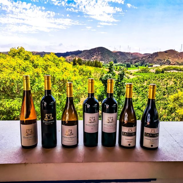 From Lagos: Small-Group 4-Hour Wine Tasting Tour - From Lagos pickup, you get the scenic “Algarve vibe” before the tasting even starts