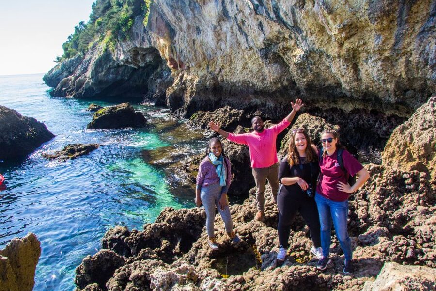 From Lisbon: Arrábida Day Tour & Wine Tasting - Price and value: why $82 can make sense