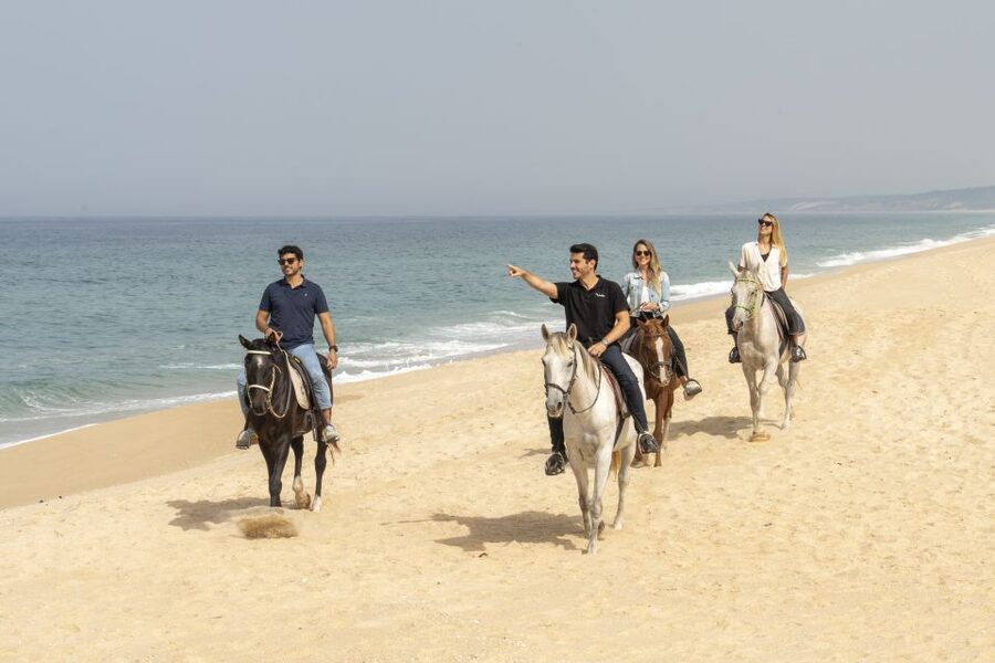 From Lisbon: Comporta and Setúbal Trip with Horseback Riding - Comporta arrival: where the ride feels like a real nature escape