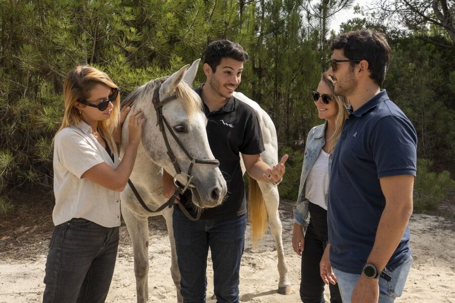 From Lisbon: Comporta and Setúbal Trip with Horseback Riding - Horseback riding in Comporta: rice paddies to Atlantic sand with real instruction
