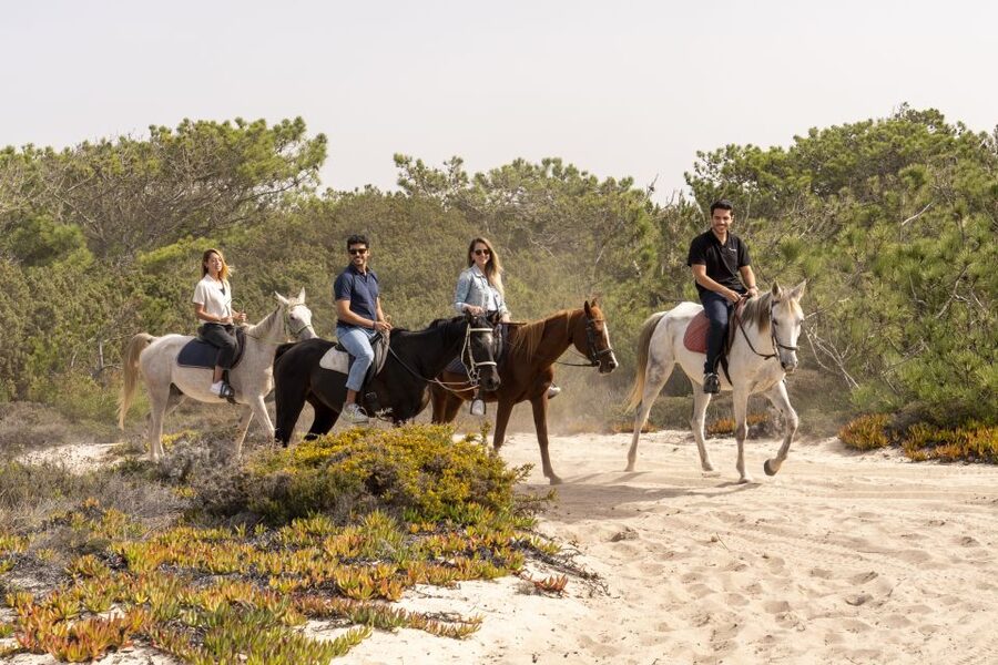 From Lisbon: Comporta and Setúbal Trip with Horseback Riding - Wildlife, views, and why this tour feels different from a standard city day