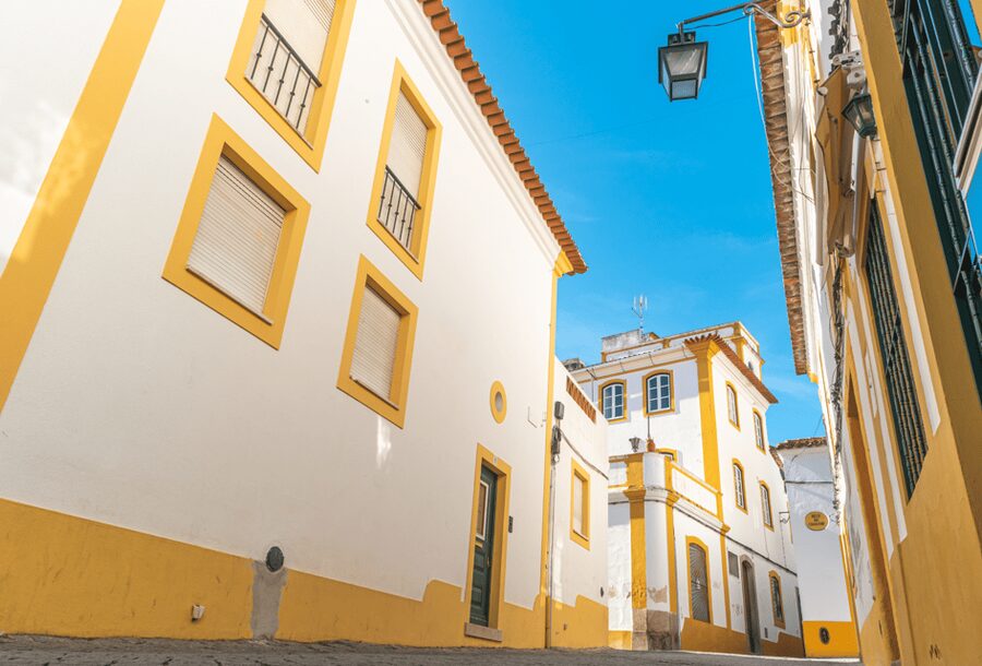 From Lisbon: Évora + Chapel of Bones + Monsaraz + Alentejo Wines - Alentejo wine tasting at the Monsaraz producer