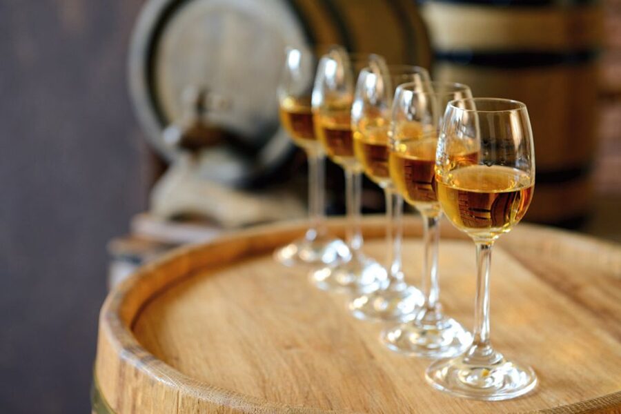 From Lisbon: Évora Wine & Heritage Tour - Évora in one day, the real point of this tour