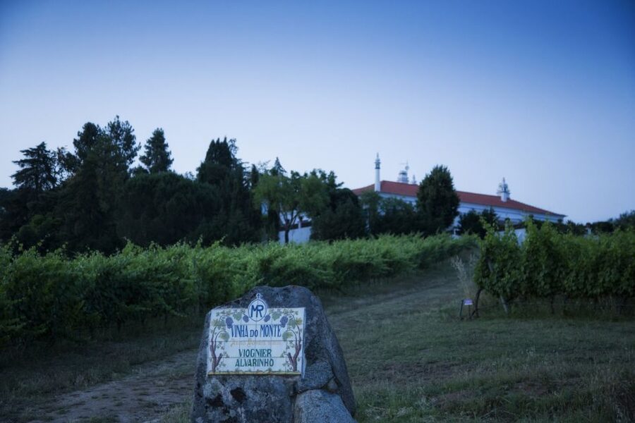 From Lisbon: Évora Wine & Heritage Tour - Should you book the Évora Wine and Heritage Tour?