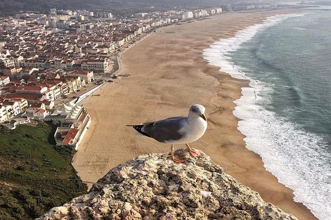 From Lisbon: Fatima Batalha Nazare & Obidos Small Group Day Trip - Why This Lisbon Day Trip Feels Like a Portugal Starter Pack