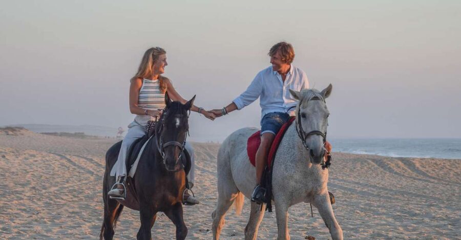 From Lisbon: Horseback Riding on Comporta Beach - Key points before you go