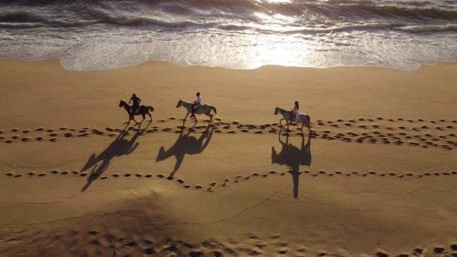 From Lisbon: Horseback Riding on Comporta Beach - From HF Fénix Lisboa to Comporta: the drive you should plan for