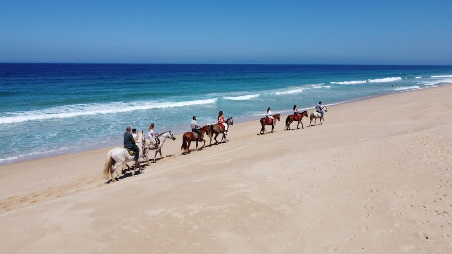 From Lisbon: Horseback Riding on Comporta Beach - A 40-mile beach you only partly ride: what the shoreline feels like