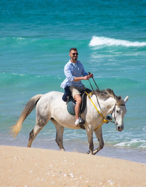 From Lisbon: Horseback Riding on Comporta Beach - Horse care, responsible vibes, and what you should look for