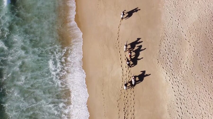 From Lisbon: Horseback Riding on Comporta Beach - Price and value of $165 for a Lisbon day trip to Comporta
