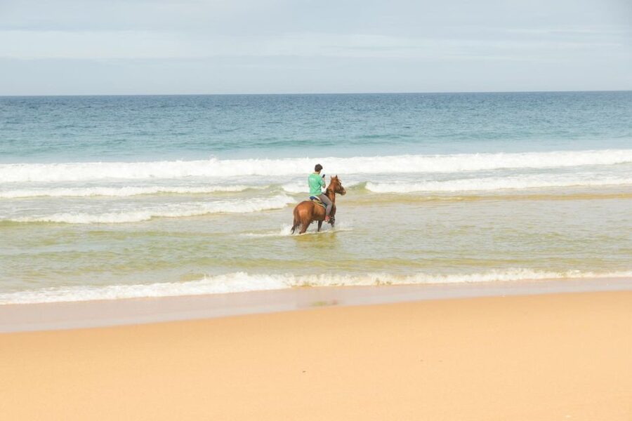 From Lisbon: Horseback Riding on Comporta Beach - Atlantic Forest warm-up: the start of the dunes ride