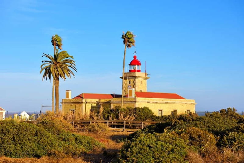 From Lisbon: Lagos & Albufeira Day Tour in the Algarve - Key Things I’d Prioritize on This Tour