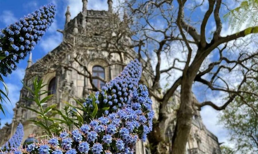 From Lisbon: Sintra, Pena Palace and Regaleira Day Trip - FAQ