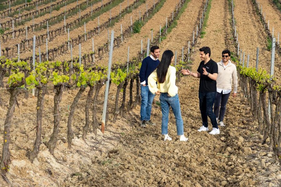 From Lisbon: Sintra & Pena Palace Day Trip with Wine Tasting - Key highlights worth caring about