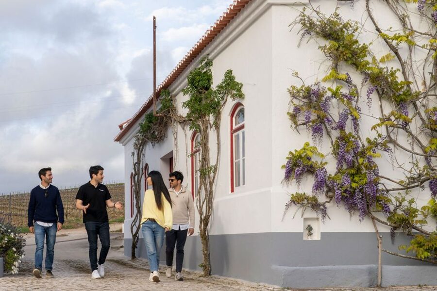 From Lisbon: Sintra & Pena Palace Day Trip with Wine Tasting - Lisbon to Sintra and Pena Palace, with less stress than DIY