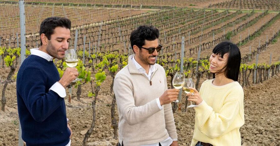 From Lisbon: Sintra & Pena Palace Day Trip with Wine Tasting - The tasting: 6 wines, shared grapes, and smart pairing bites