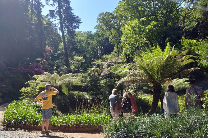 From Lisbon: Sintra's Historical and Natural Gems - Pena Palace Terraces: Exterior Views That Carry the Day