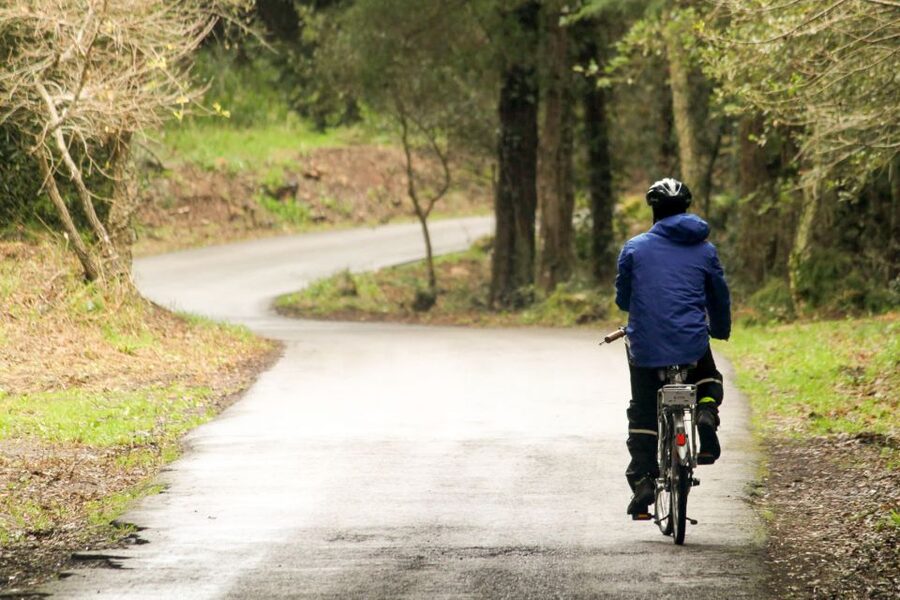 From Lisbon: Sintra to Cascais Full-Day Guided E-Bike Tour - Seteais and the Romantic roads into the park