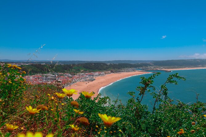From Lisbon: Small Group to Pena Palace, Nazaré & Fátima - Small group, 8-seat minivan, and why that changes the whole day