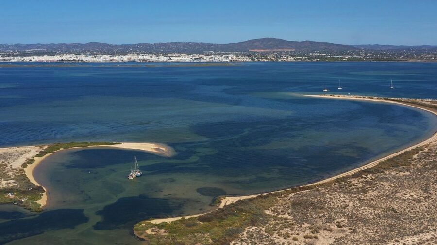 From Olhão: Ria Formosa 3-Island Full-Day Tour - Ilha da Armona or the deserted beach: your first dose of white sand
