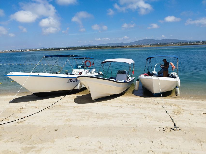 From Olhão: Ria Formosa 3-Island Full-Day Tour - Culatra Island: the fishing village stop where food becomes part of the story