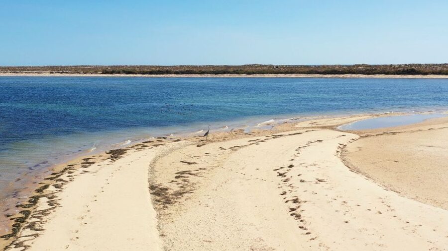 From Olhão: Ria Formosa 3-Island Full-Day Tour - What the guide teaches you while you cruise and walk