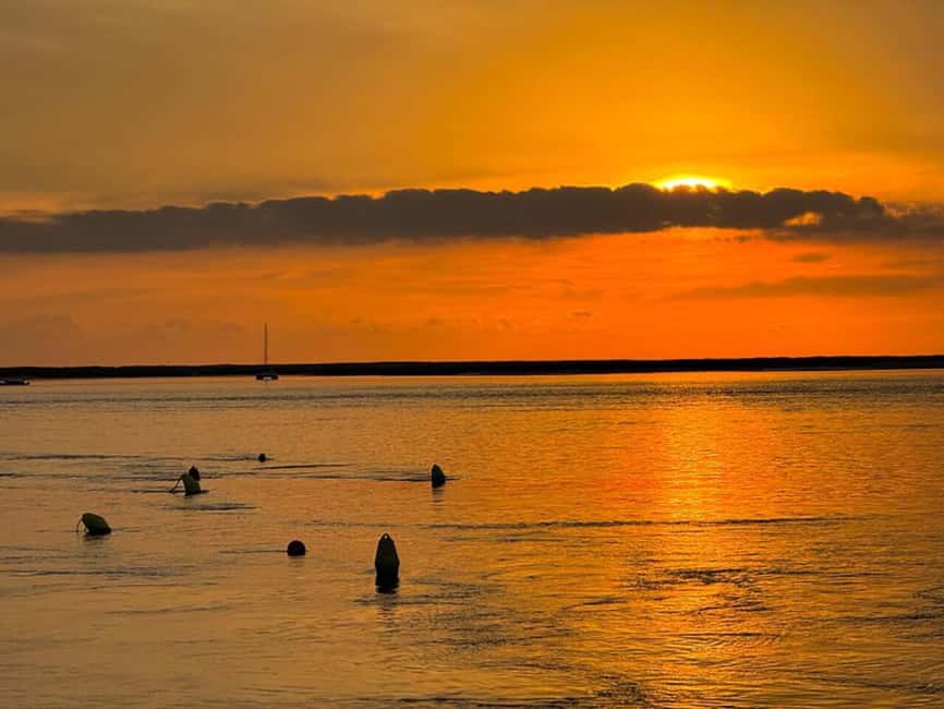 From Olhão: Ria Formosa Sunset Island Boat Tour - Wildlife Spotting on Ria Formosa: Birds, Marsh Edges, and Real Ecology