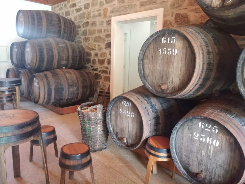 From Pinhão: Douro Valley Tour w/ Wine Tasting and Boat Trip - The viewpoint stop: a short pause with big payback