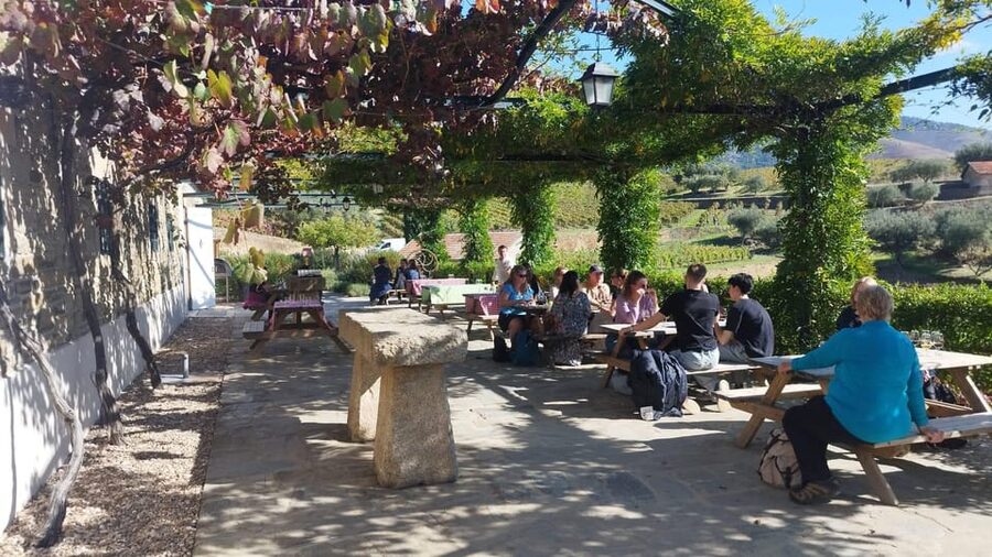 From Pinhão: Douro Valley Tour w/ Wine Tasting and Boat Trip - Small practical tips that improve your day