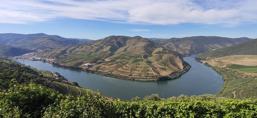 From Pinhão: Douro Valley Tour w/ Wine Tasting and Boat Trip - The 50-minute Douro boat cruise: the view time you can actually enjoy