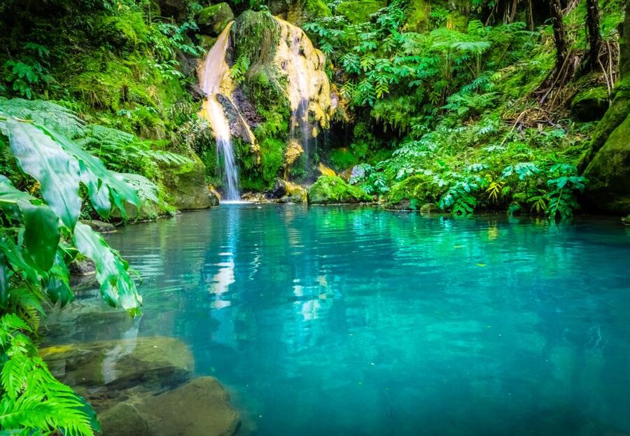 From Ponta Delgada: Lagoa do Fogo & Hot Springs Day Trip - Ribeira Grande lunch break: the part that makes it feel like a real day, not a checklist