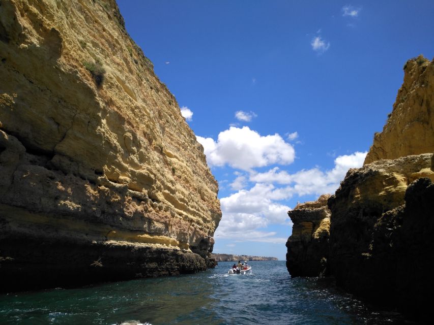 From Portimão: Benagil Caves & Marinha Beach Boat Tour - Other Sea Caves and Live Skipper Commentary