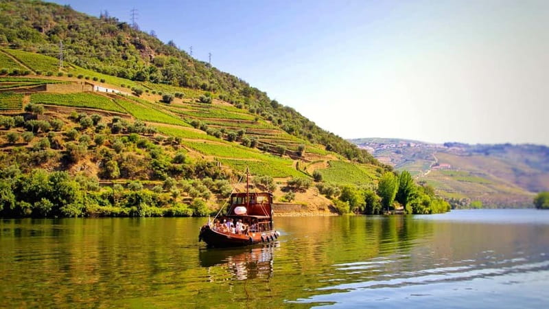 From Porto: 2 Wine Regions, Farm Lunch, and Boat Ride - From Trindade to the Douro, With a Small-Group Pace