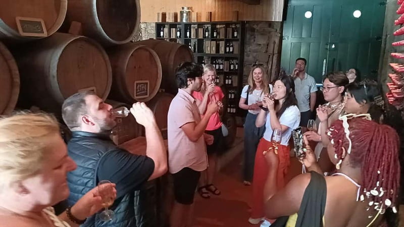 From Porto: 2 Wine Regions, Farm Lunch, and Boat Ride - Guides Make or Break the Douro Day