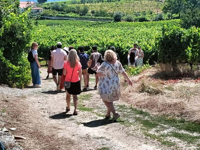 From Porto: 2 Wine Regions, Farm Lunch, and Boat Ride - Pinhão and the Traditional Rabelo Boat Cruise (50 Minutes of Unwind Time)