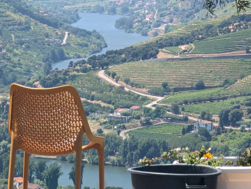 From Porto: 2 Wine Regions, Farm-to-Table Lunch & Boat - Who this Porto to Douro wine day is for, and who should skip it