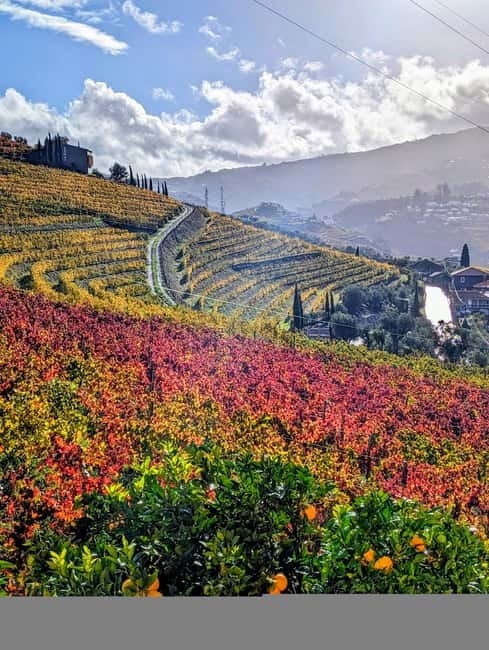 From Porto: 2 Wine Regions, Farm-to-Table Lunch & Boat - Farm-to-table brunch, lunch, or dinner, with Vinho Verde specialties at the table