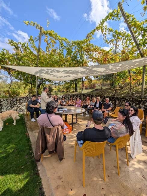 From Porto: 2 Wine Regions, Farm-to-Table Lunch & Boat - Amarante and the Amarante hour: a gentle start before the Douro gets dramatic