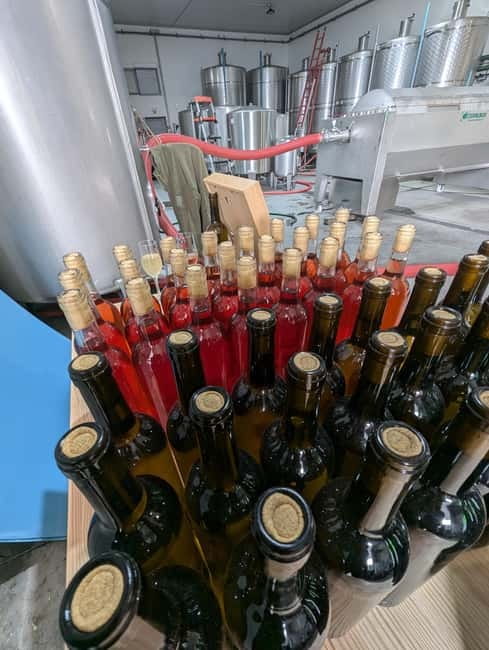 From Porto: 2 Wine Regions, Farm-to-Table Lunch & Boat - How guides like Ruben, Tiago, Jose, Pedro, Paulo, and Luis make or break the day