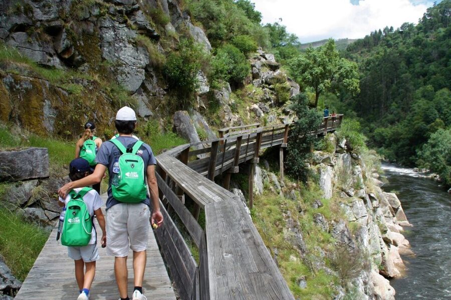 From Porto: 516 Arouca Bridge and Paiva Walkways Guided Tour - Guides and drivers like Sergio and Barbara make the day feel effortless