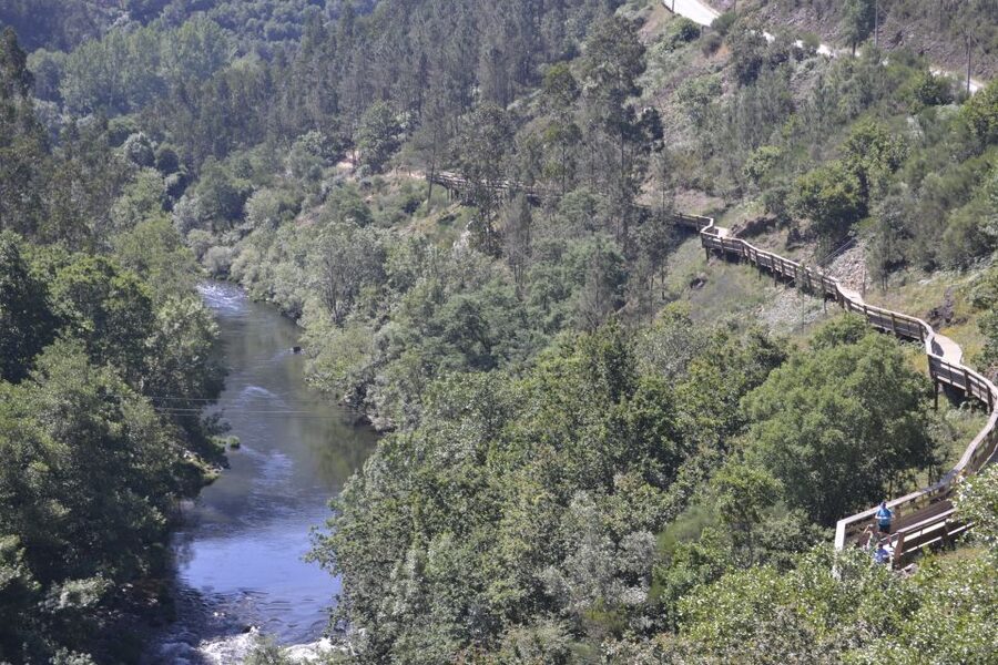 From Porto: 516 Arouca Bridge, Paiva Walkways and Aveiro - Why the 516 Arouca Bridge and Paiva Walkways combo is such a good Porto day